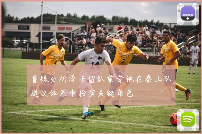 鲁媒分析泽卡留队前景他在泰山队进攻体系中扮演关键角色