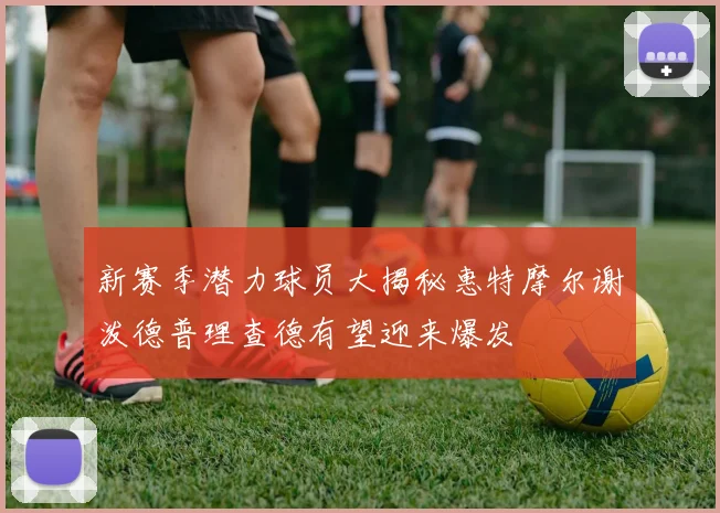 新赛季潜力球员大揭秘惠特摩尔谢泼德普理查德有望迎来爆发