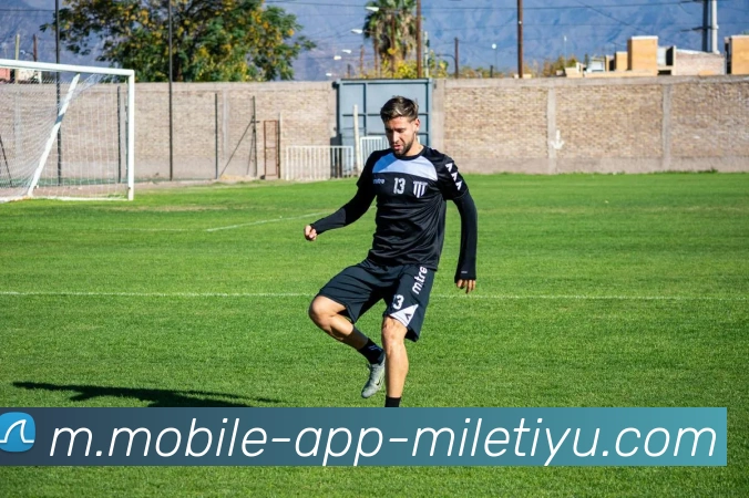 多媒体互动体验