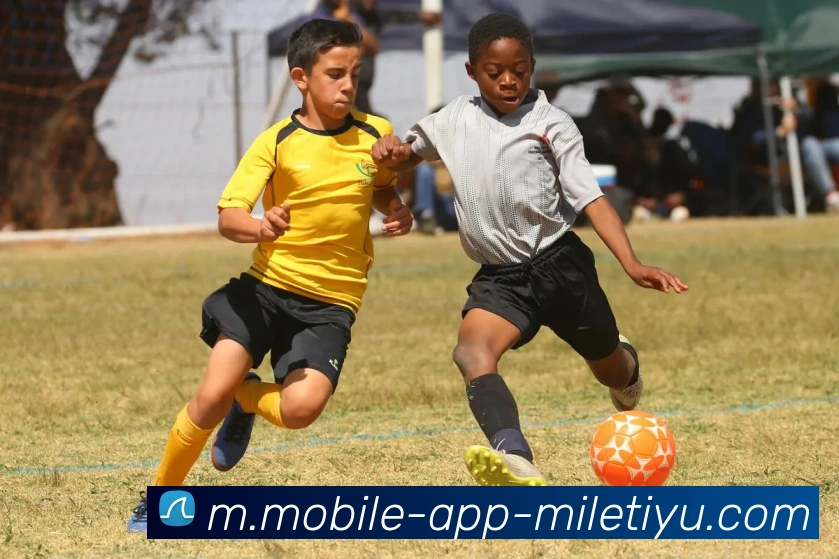 米乐体育APP 高清赛事图