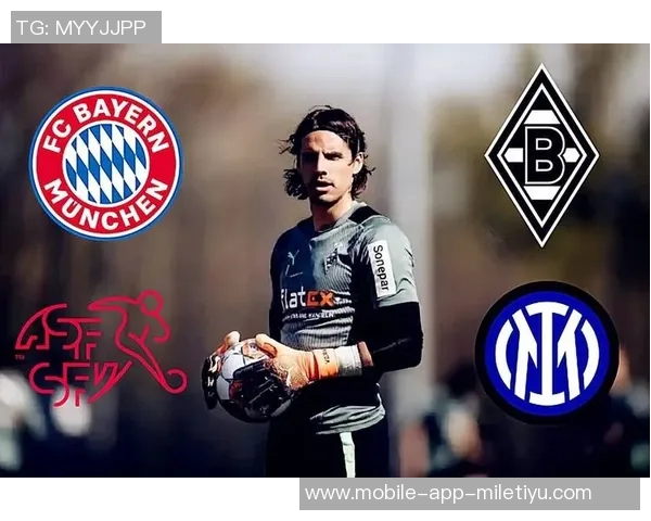 国米有意引进33岁大马丁替代索默加强球队实力